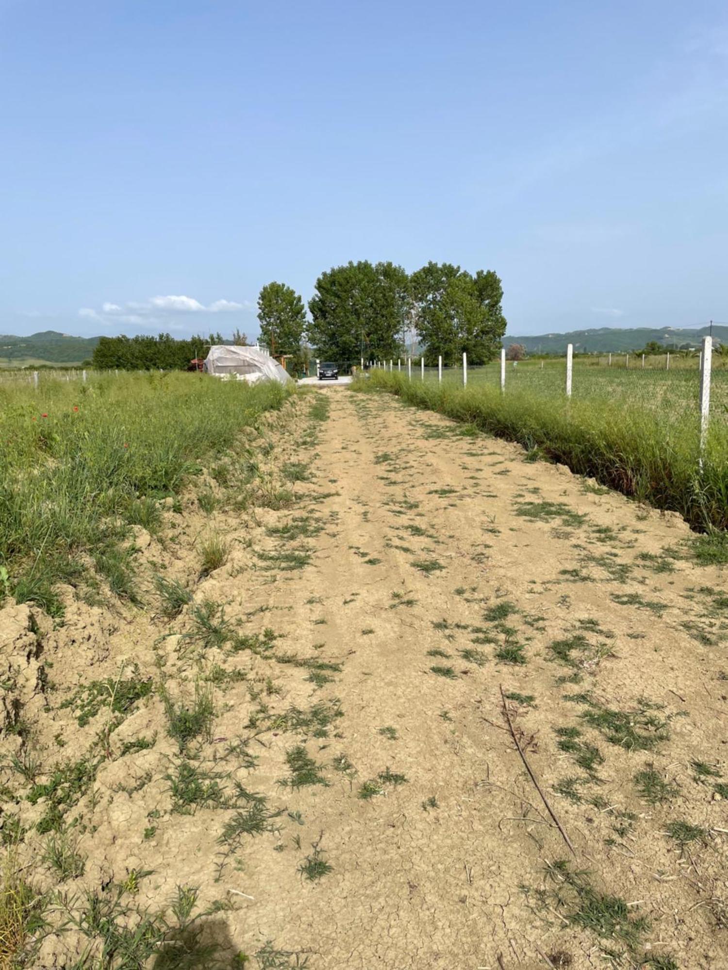 Mahane Camping Hamallaj Zewnętrze zdjęcie