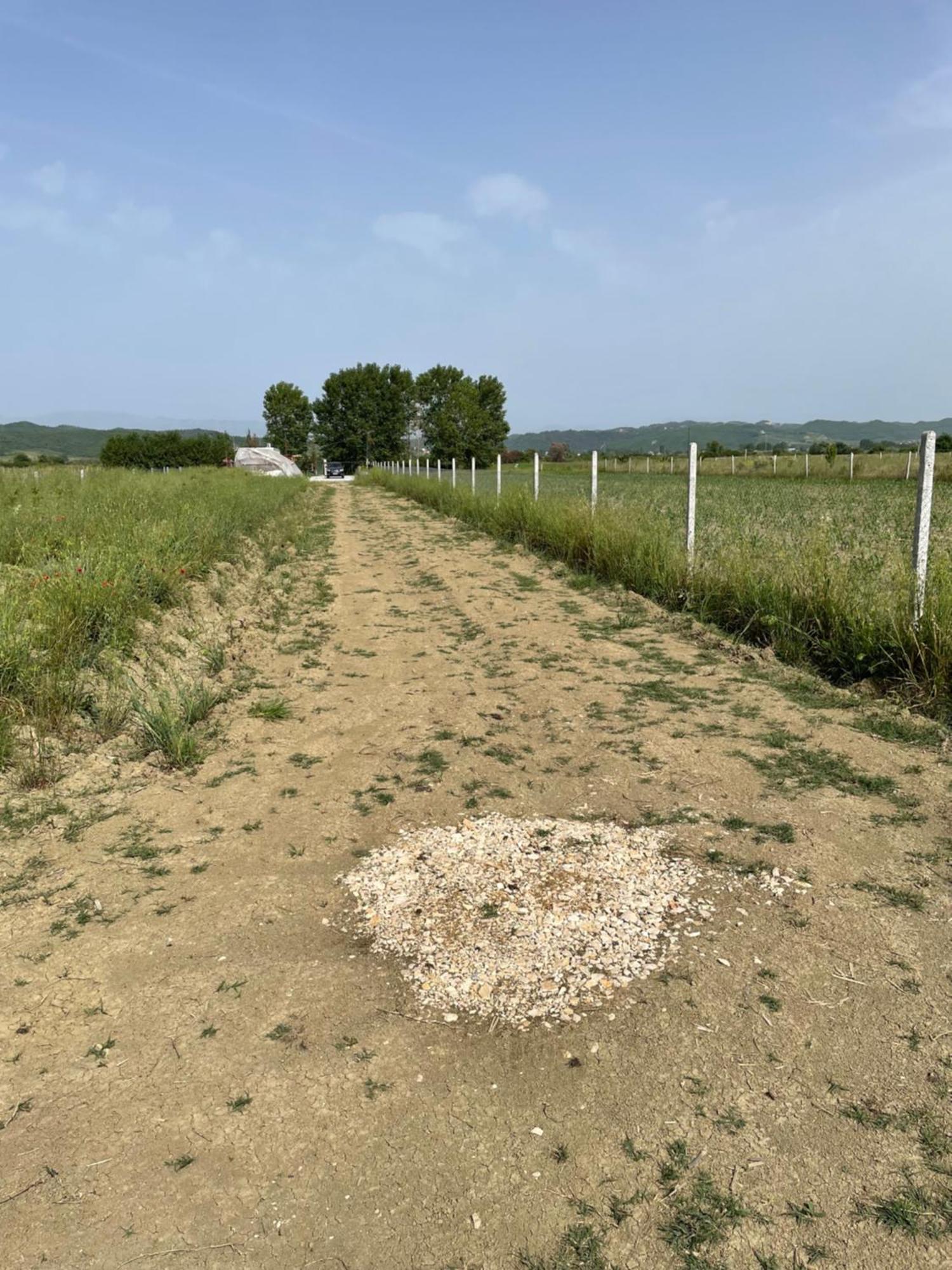 Mahane Camping Hamallaj Zewnętrze zdjęcie